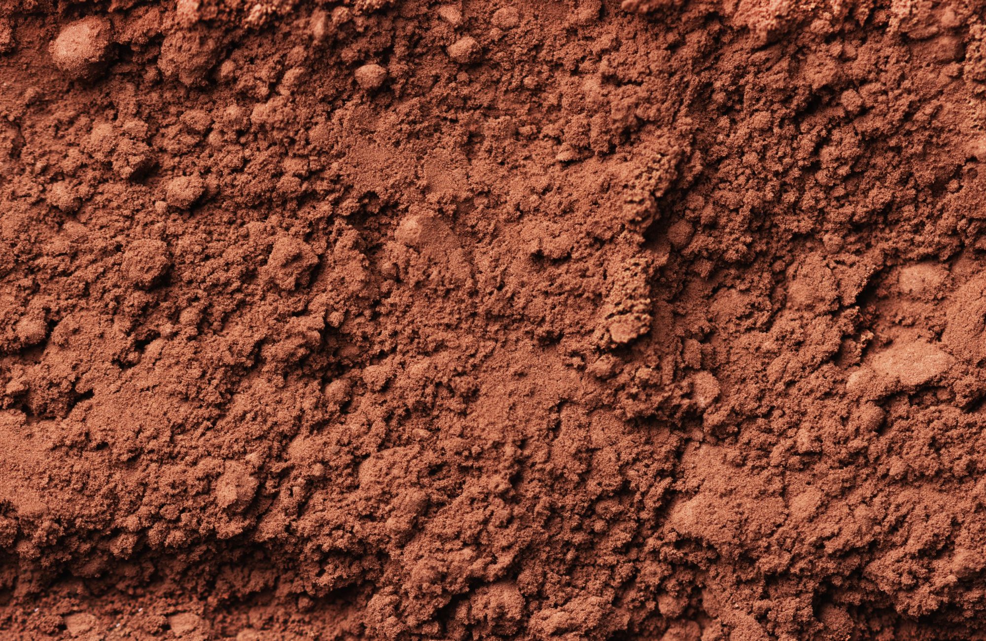 bulk cocoa powder