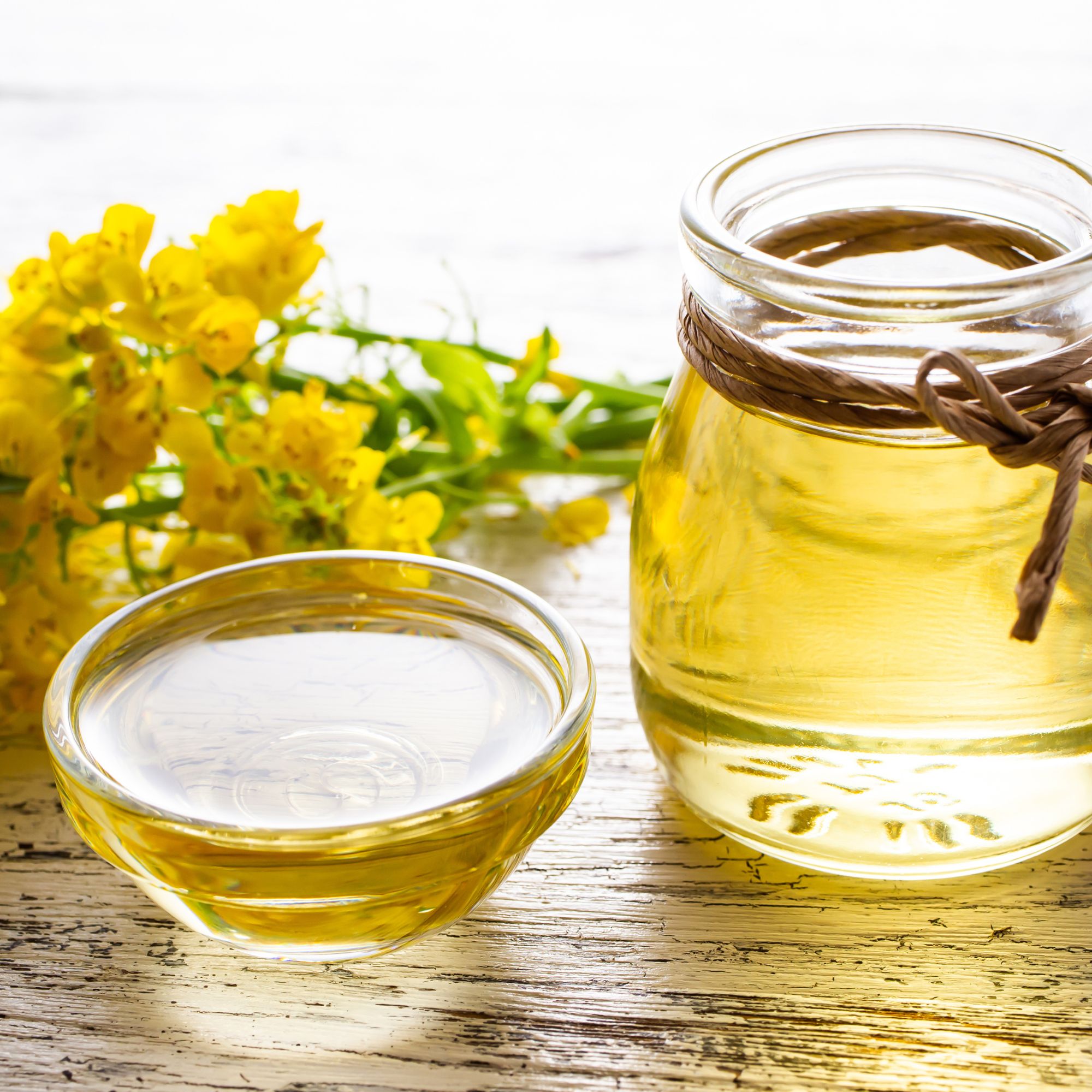 bulk canola oil