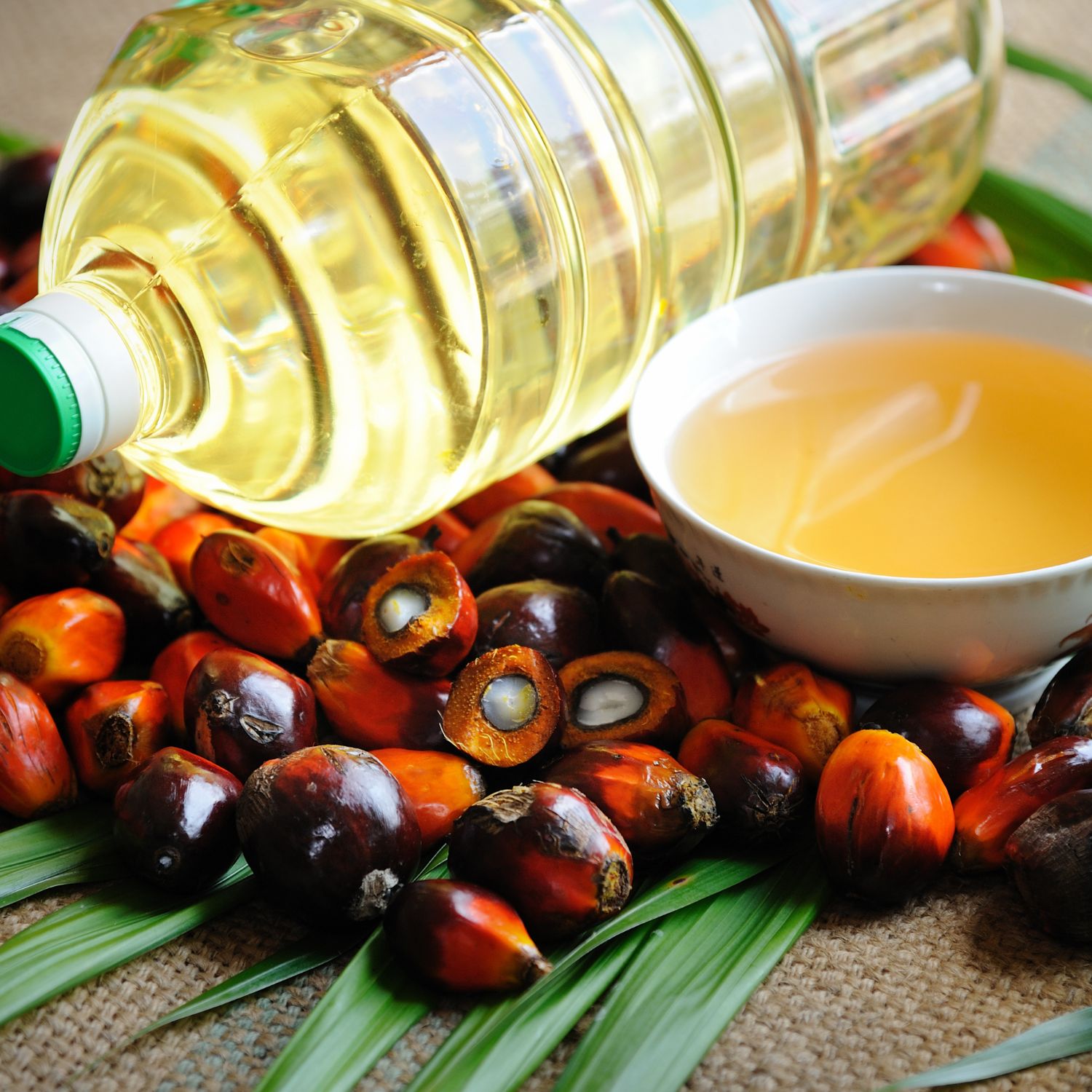 bulk palm oil