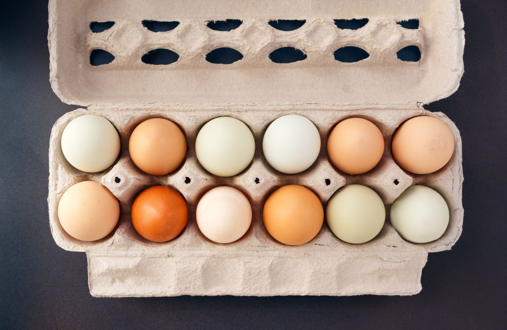 Why are Eggs so Expensive in 2025? Key Causes and Solutions