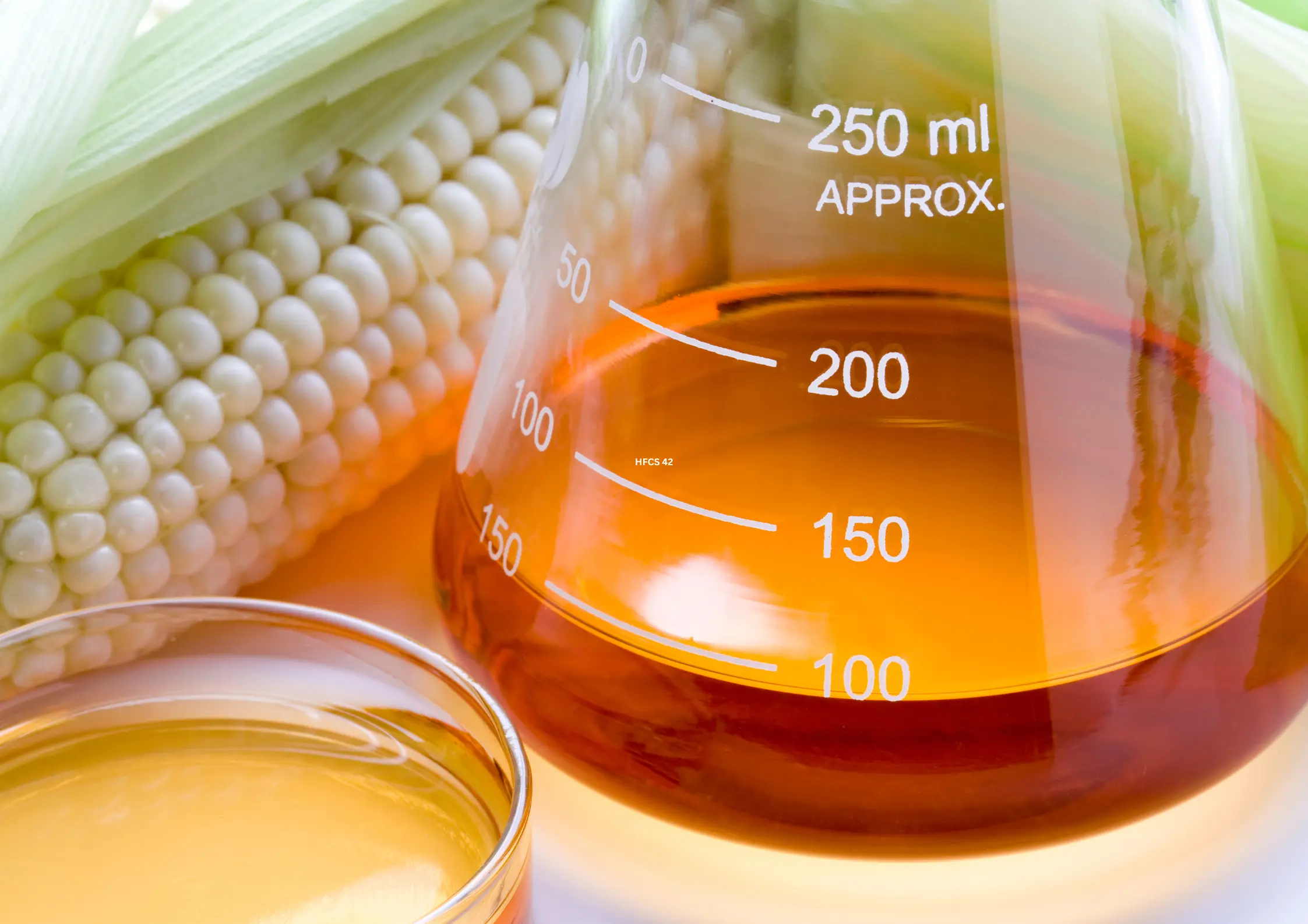Beaker filled with HFCS 42 next to fresh corn on the cob.