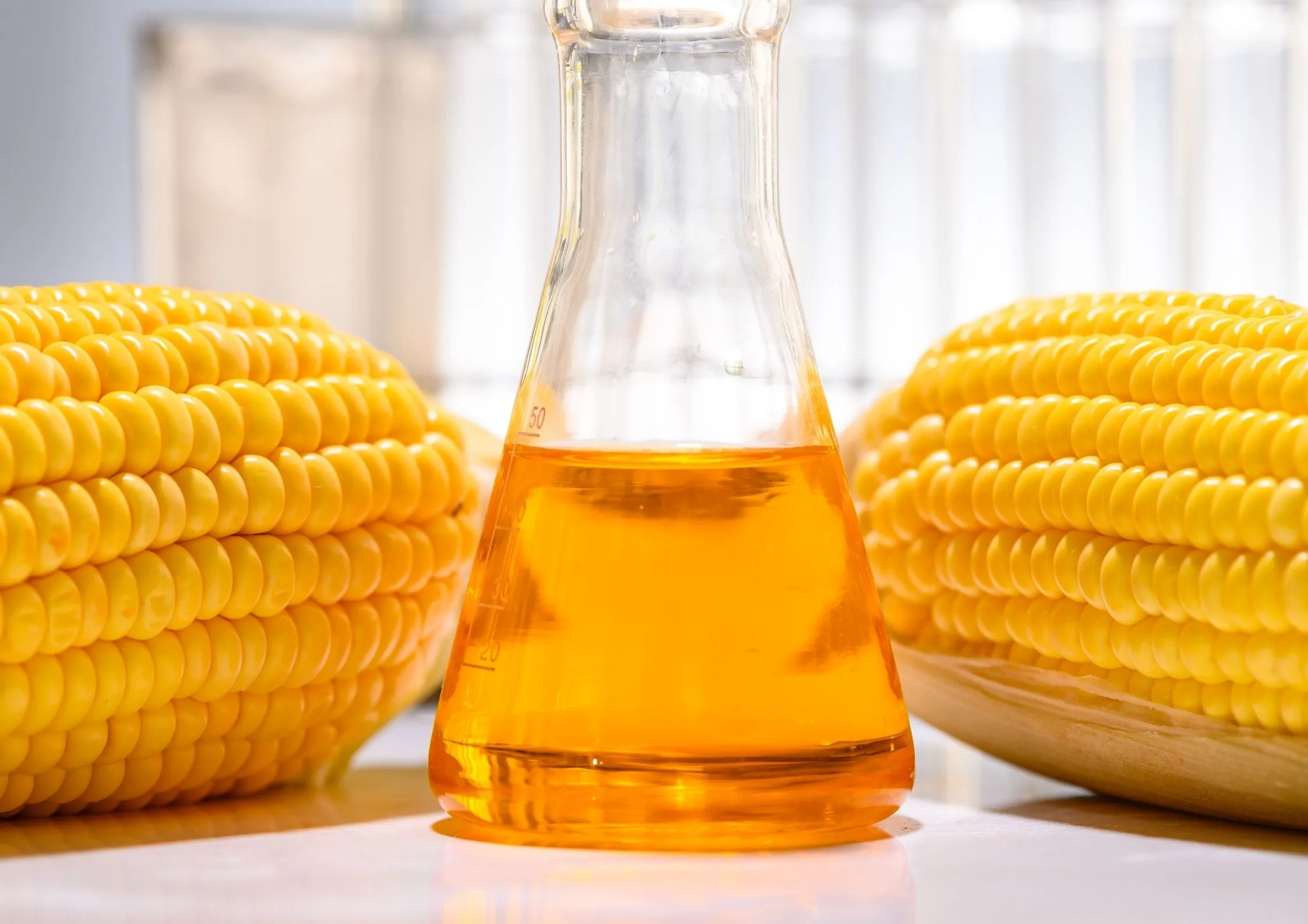 Beaker of high fructose corn syrup placed between fresh yellow corn cobs