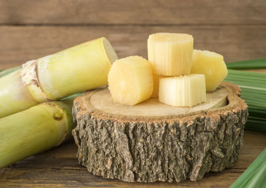 Fresh-cut organic sugarcane used for producing liquid cane sugar.