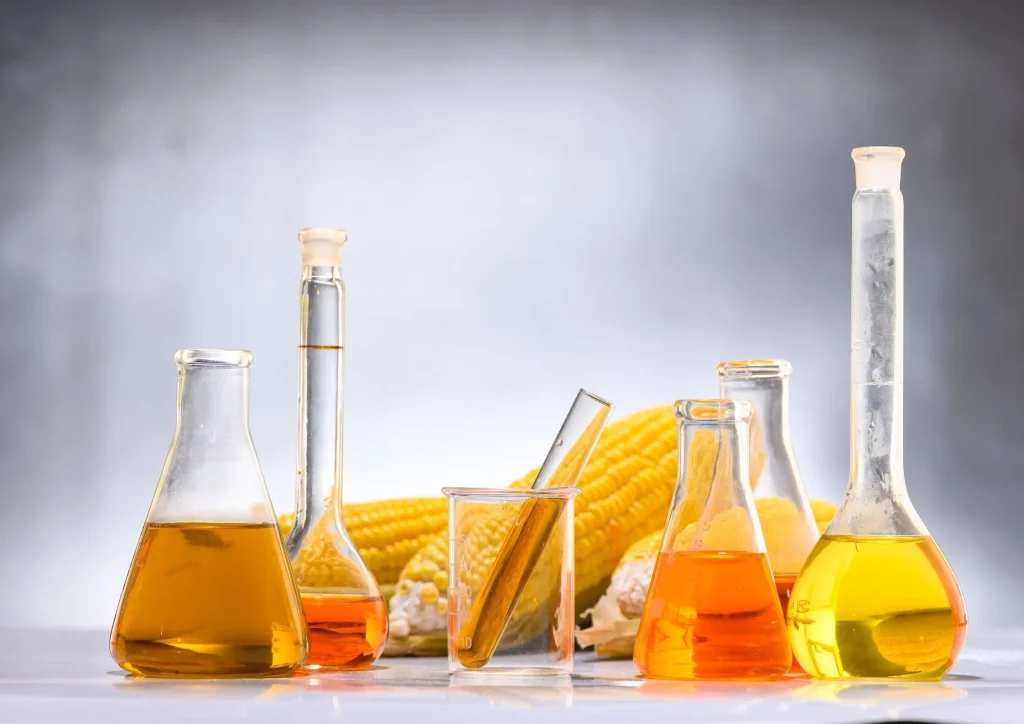 Glass lab containers with high fructose corn syrup beside corn cobs on table